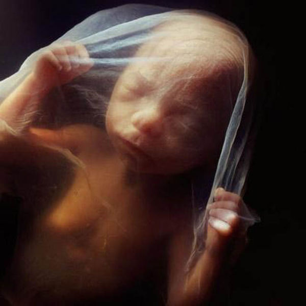 18 semaines. Environ 14 cm Le fœtus peut désormais percevoir des sons du monde extérieur