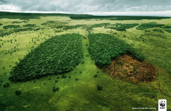 Affiches du WWF (Fonds mondial pour la nature ) réalisées par l 