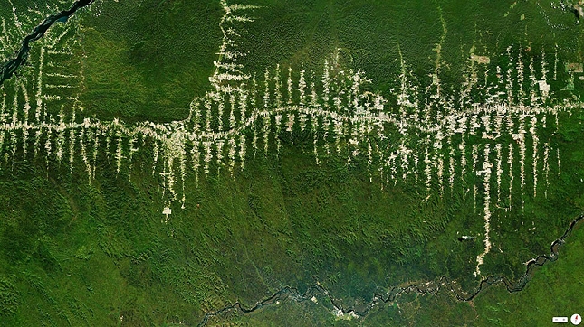 deforestation amazonie bresil