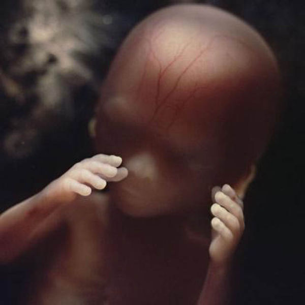16 semaines. Le fœtus utilise ses mains pour explorer son propre corp
