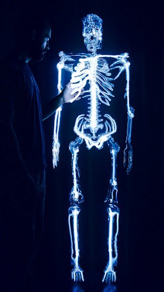 Squelette de verre