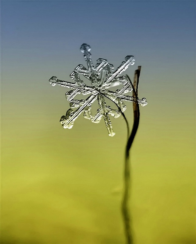 flocons-neige-loupe-macro-photographie-wikilinks