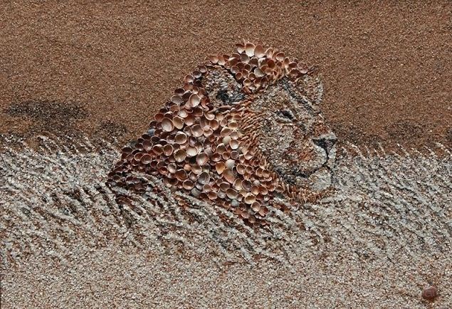Mosaique-coquillage-sable-plage-wikilinks-14