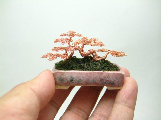 bonsaï miniatures