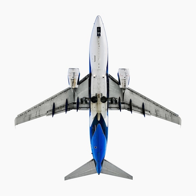 Southwest Shamu Boeing 737-700