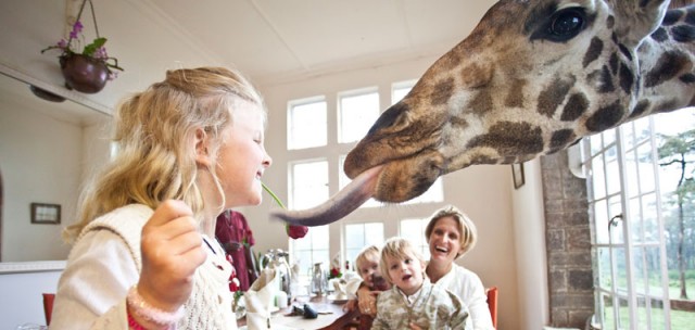 Giraffe Manor - un séjour avec les girafes
