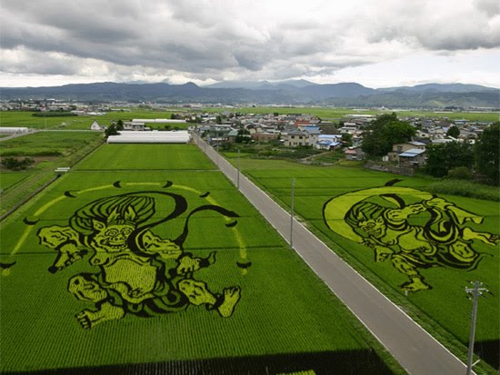 Land-Art dans des rizières au Japon