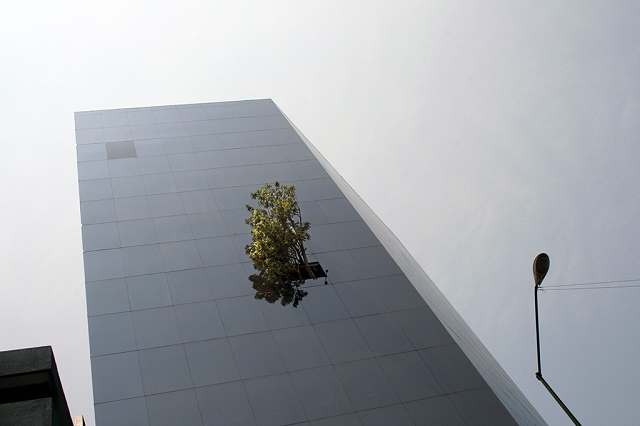 immeuble Telcel à Mexico City arbre1