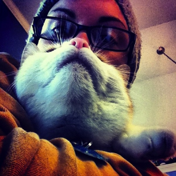 Cat et Dog Beard
