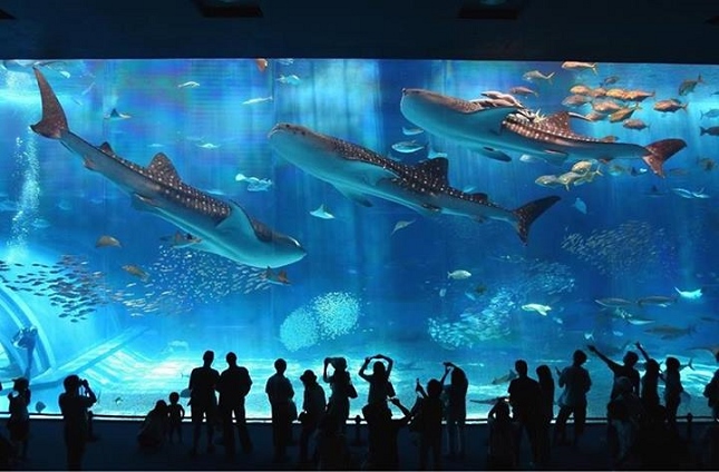 Le plus grand aquarium du monde