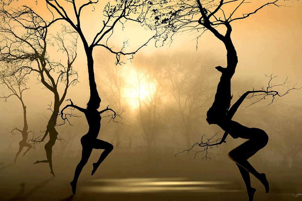 Dancing Trees Igor Zenin
