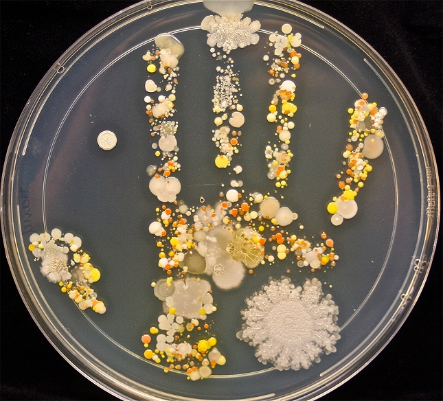 bacterie-main-enfant-