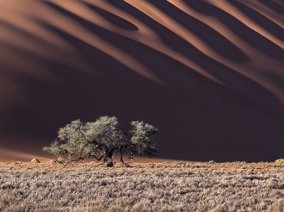desert-Namibie-Stas-Bartnikas-