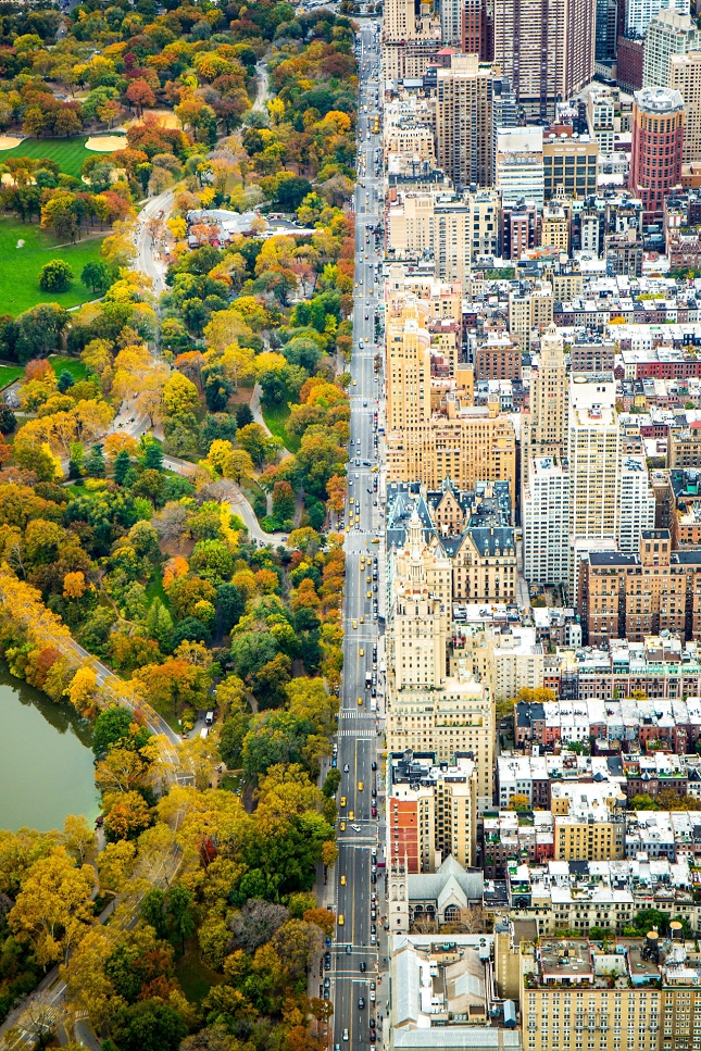 Central Park VS New York