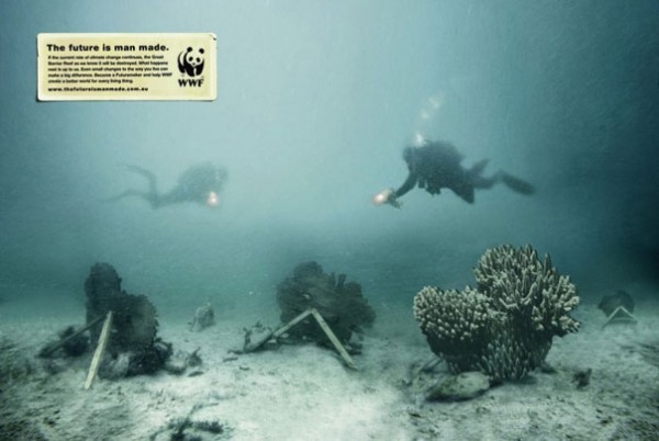 Affiche-WWF-cop213