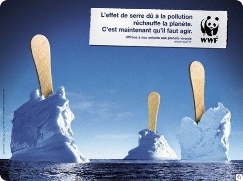 Affiche-WWF-cop214