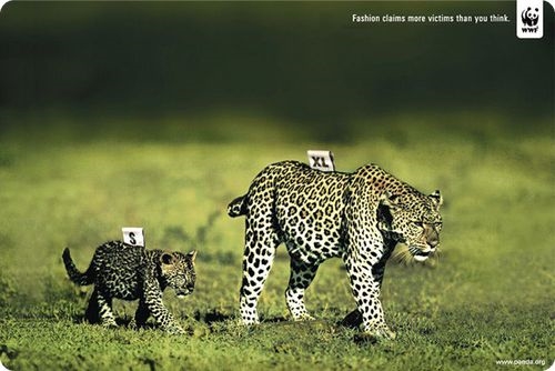 Affiche-WWF-cop215