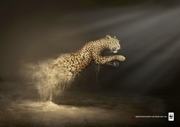 Affiche-WWF-cop219