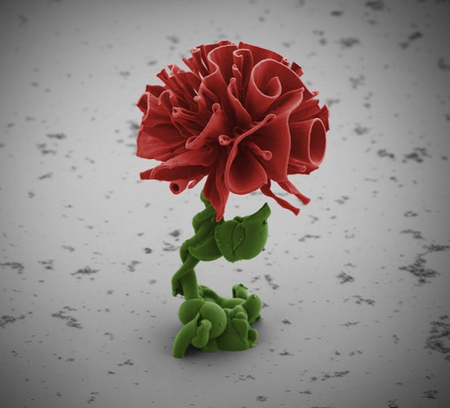 Nanotechnologie-chimiques-Fleur-1