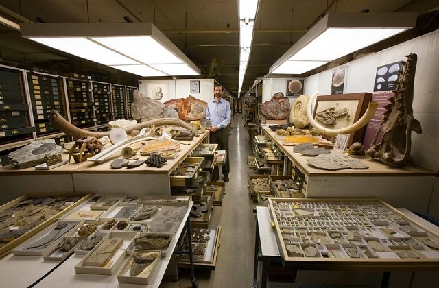 Paleobiology - Anthropologie secrets Musee coulisse
