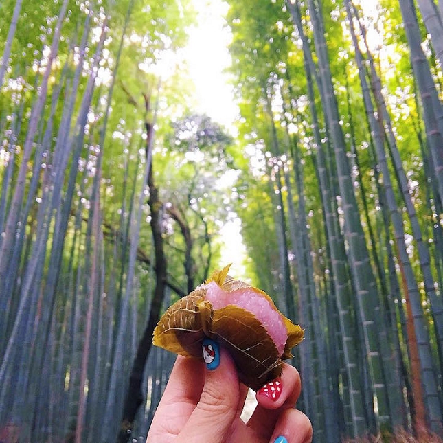 Mochi Sakura à Arashiyama Bamboo Forest à Kyoto