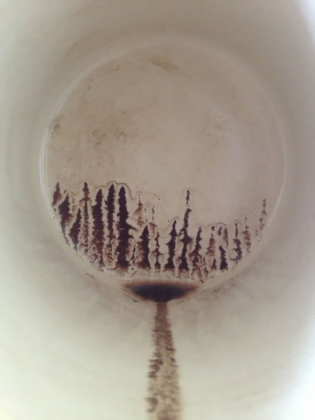 Une forêt qui se dessine au fond de la tasse pour la dernière gorgée de café